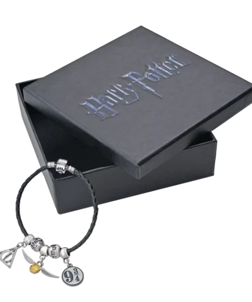 Warner Bros Harry Potter Charm Bracelet Set