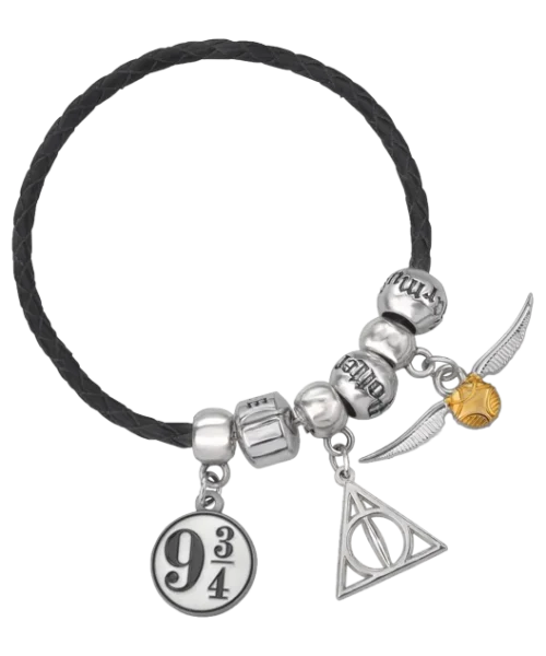 Warner Bros Harry Potter Charm Bracelet Set