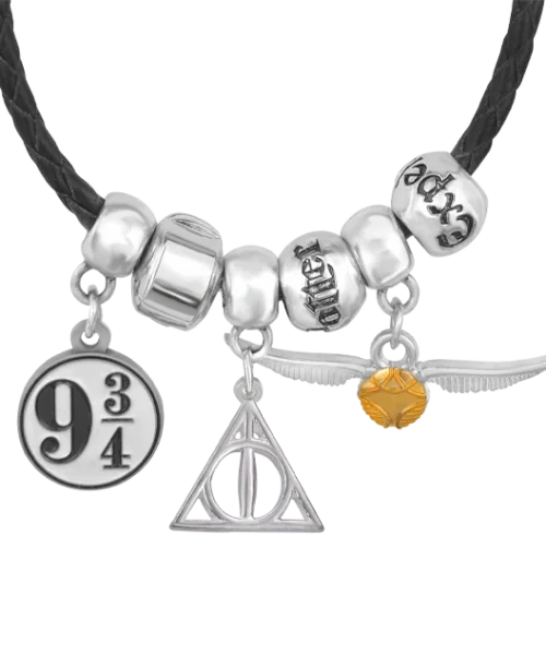 Warner Bros Harry Potter Charm Bracelet Set