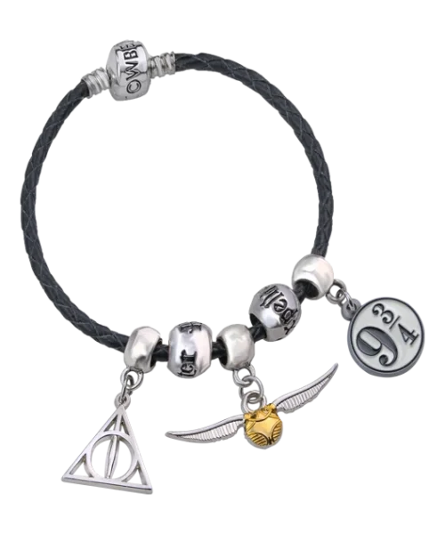 Warner Bros Harry Potter Charm Bracelet Set