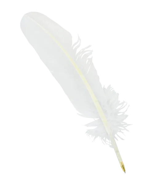 Warner Bros Feather Quill Pen Best Sellers