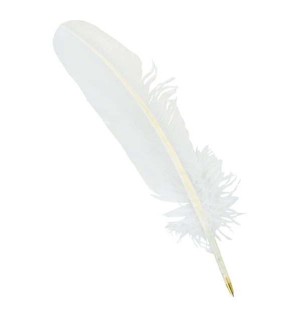 Warner Bros Feather Quill Pen Best Sellers 3 Warner Bros Feather Quill Pen Best Sellers