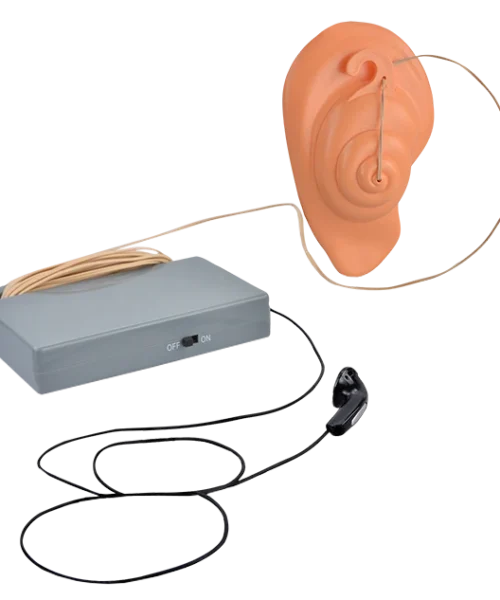 Warner Bros Extendable Ear Best Sellers