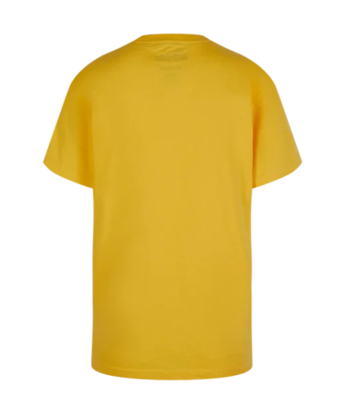 Warner Bros Kids Hufflepuff Quidditch Team Captain T-Shirt