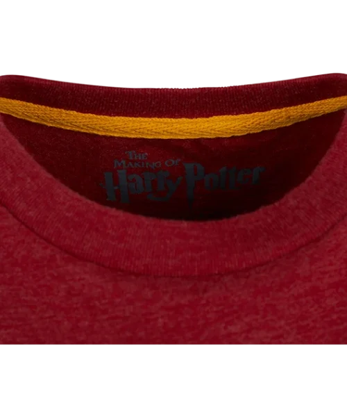 Warner Bros Best Sellers Kids Gryffindor Quidditch Team Captain T-Shirt
