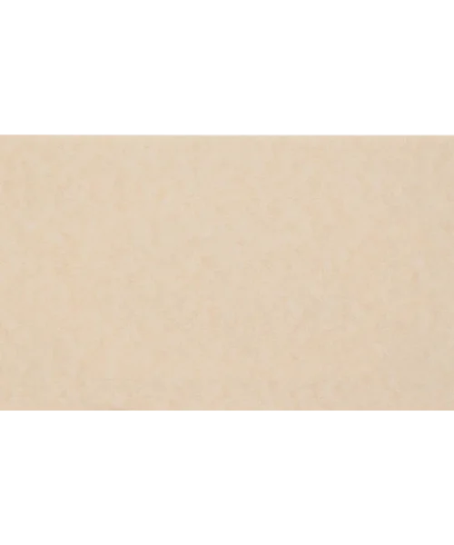 Warner Bros Hogwarts Express Souvenir Ticket