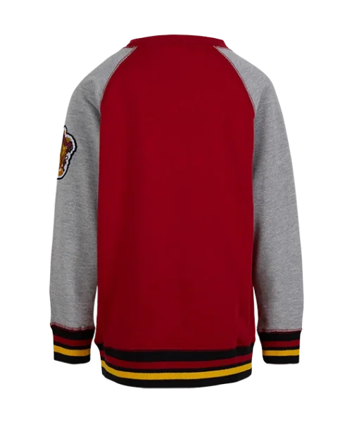 Warner Bros Kids Gryffindor Sweatshirt Best Sellers 9 Warner Bros Kids Gryffindor Sweatshirt Best Sellers