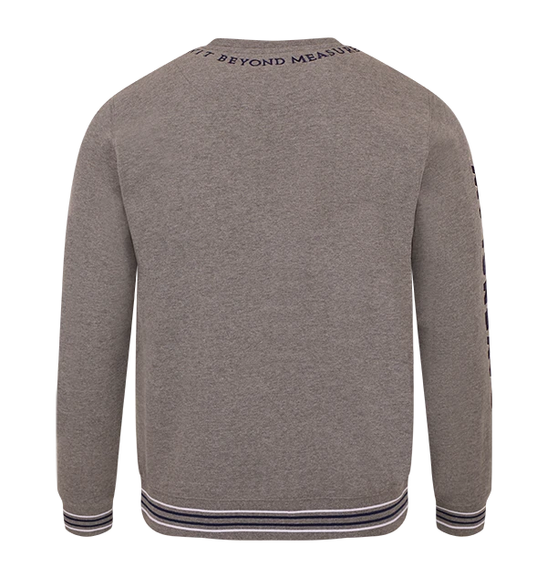 Warner Bros Ravenclaw Logo Sweatshirt 4 Warner Bros Ravenclaw Logo Sweatshirt