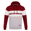 Warner Bros Gryffindor Hoodie Best Sellers 1 Warner Bros Gryffindor Hoodie Best Sellers