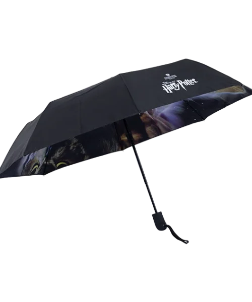 Warner Bros Philosopher's Stone Umbrella