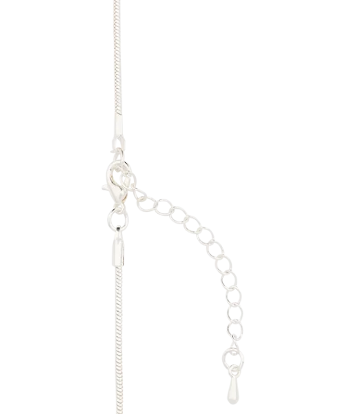 Warner Bros Chocolate Frog Charm Necklace