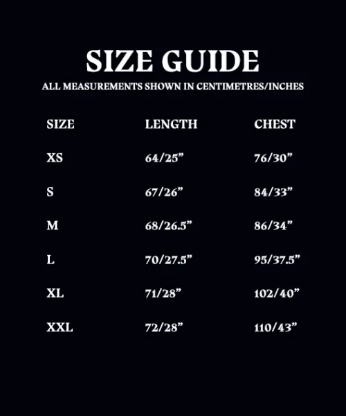 Warner Bros Ravenclaw Ladies Raglan Shirt