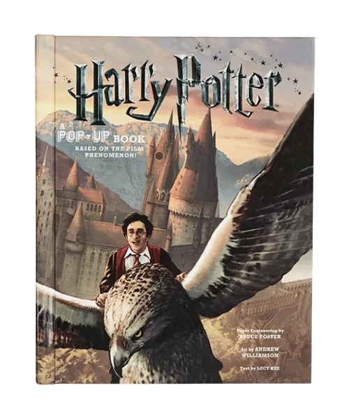 Warner Bros Harry Potter Pop Up Book