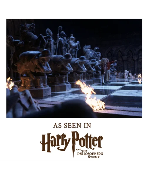 Warner Bros Wizard Chess Set Toys And Games