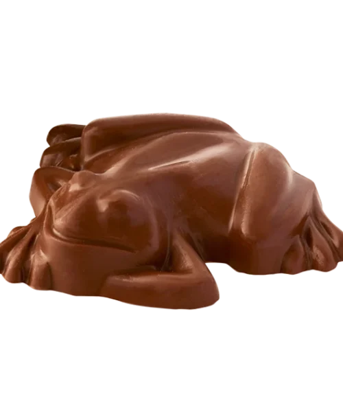 Pureprint Chocolate Frog With Personalised Wizard Card Best Sellers 15 Pureprint Chocolate Frog With Personalised Wizard Card Best Sellers