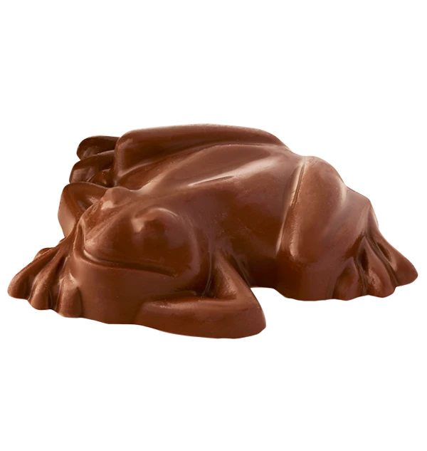 Pureprint Chocolate Frog With Personalised Wizard Card Best Sellers 7 Pureprint Chocolate Frog With Personalised Wizard Card Best Sellers