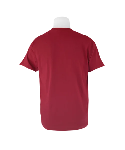 Warner Bros Distressed Platform 9 3/4 T-Shirt - Kids