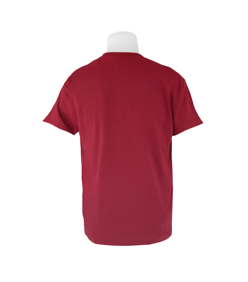 Warner Bros Distressed Platform 9 3/4 T-Shirt - Kids