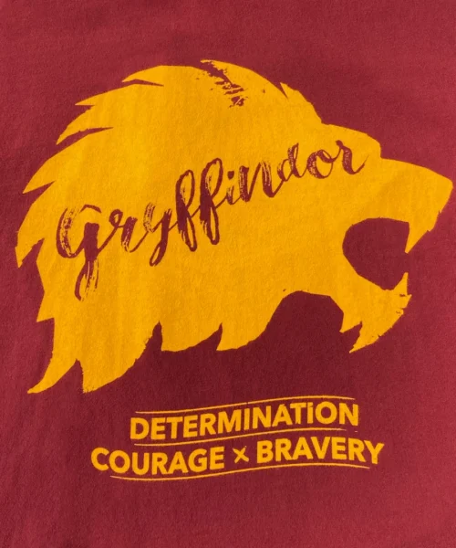 Warner Bros Best Sellers Gryffindor Unisex Pyjama Set