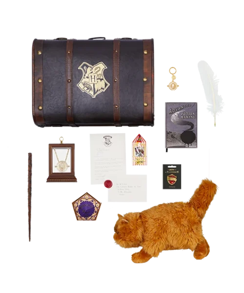 Warner Bros Hermione Granger Gift Trunk