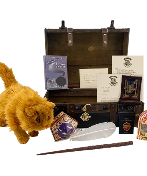 Warner Bros Hermione Granger Gift Trunk