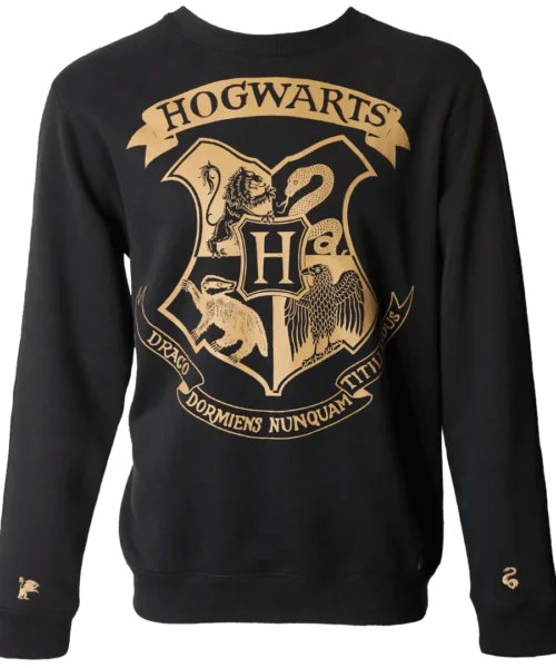 Warner Bros Hogwarts Striped Sleeve Sweatshirt