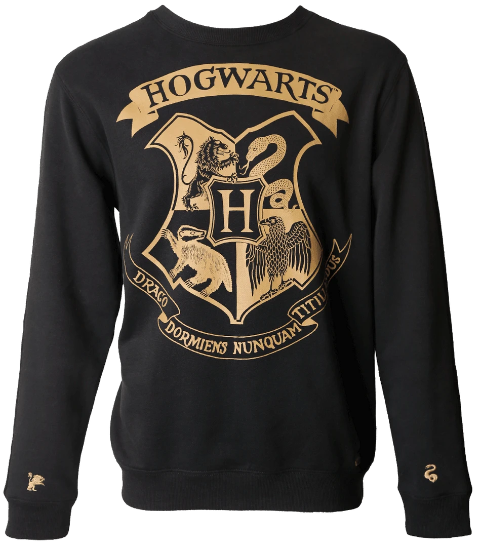 Warner Bros Hogwarts Striped Sleeve Sweatshirt 3 Warner Bros Hogwarts Striped Sleeve Sweatshirt