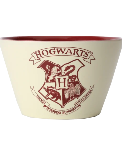 Warner Bros Hogwarts Bowl