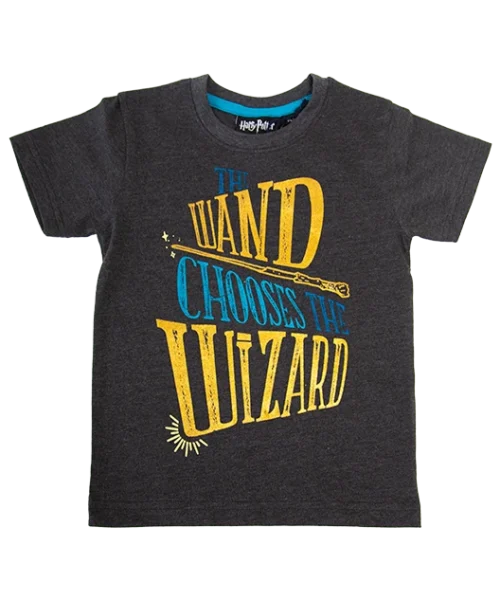 Warner Bros Kids Wand Chooses The Wizard T-Shirt