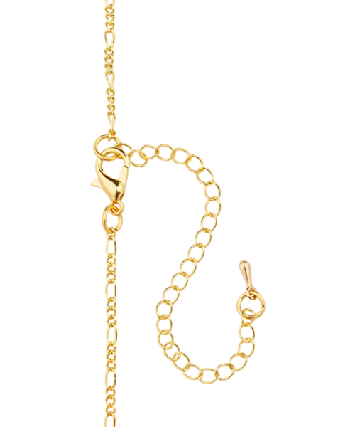 Warner Bros Exclusives Chocolate Frog Pendant Necklace