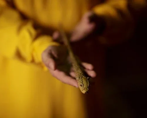 Warner Bros The Hufflepuff Mascot Wand Best Sellers