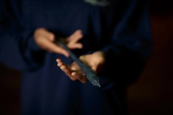 Warner Bros Best Sellers The Ravenclaw Mascot Wand 7 Warner Bros Best Sellers The Ravenclaw Mascot Wand