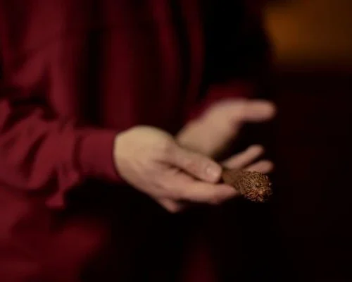 Warner Bros The Gryffindor Mascot Wand