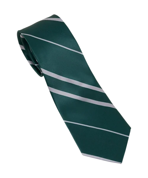 Warner Bros Slytherin House Tie