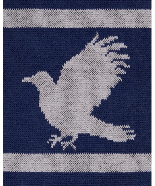 Warner Bros Ravenclaw Reversible Knit Scarf