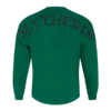 Warner Bros Best Sellers Slytherin Adult Spirit Jersey