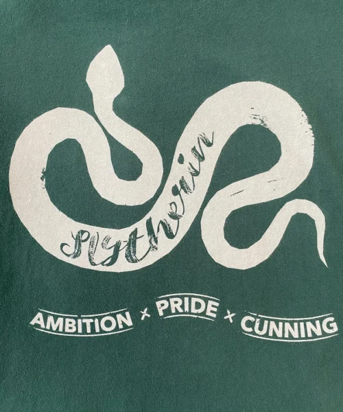 Warner Bros Best Sellers Slytherin Unisex Pyjama Set 12 Warner Bros Best Sellers Slytherin Unisex Pyjama Set