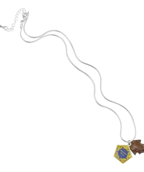 Warner Bros Chocolate Frog Charm Necklace