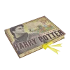 Warner Bros Best Sellers Harry Potter Artefact Box