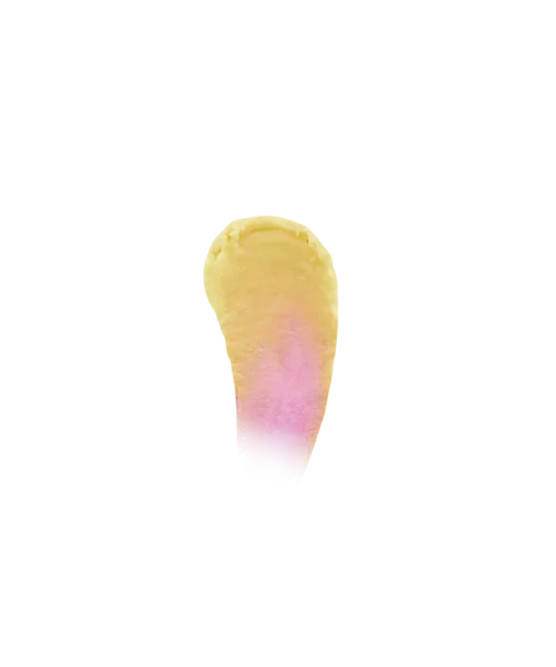 Warner Bros Luna Lovegood 'Sunflower' Colour Changing Lipstick 7 Warner Bros Luna Lovegood 'Sunflower' Colour Changing Lipstick