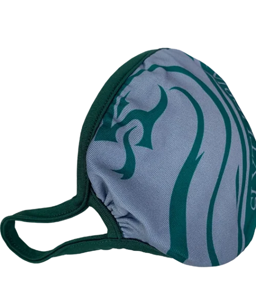 Warner Bros Best Sellers Slytherin Face Covering