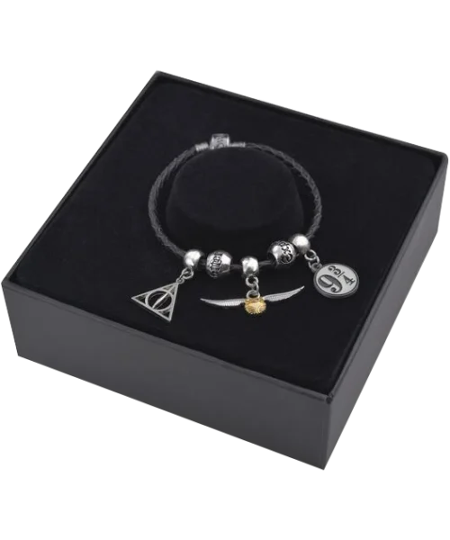 Warner Bros Harry Potter Charm Bracelet Set
