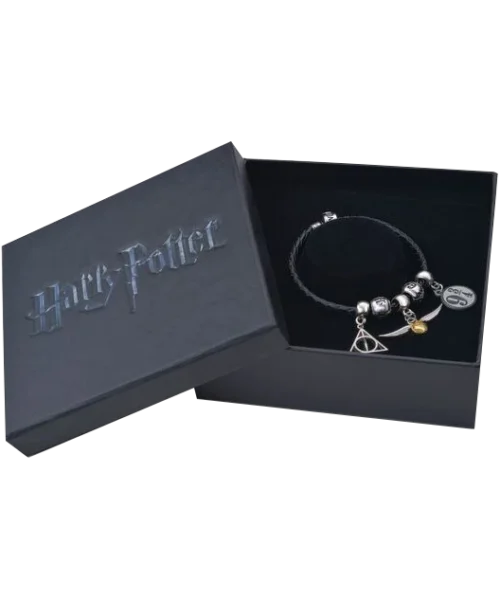 Warner Bros Harry Potter Charm Bracelet Set